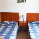 Teror
