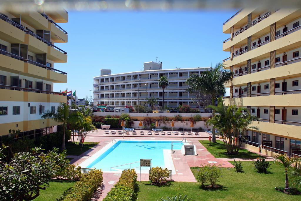 Apartamento Camelias