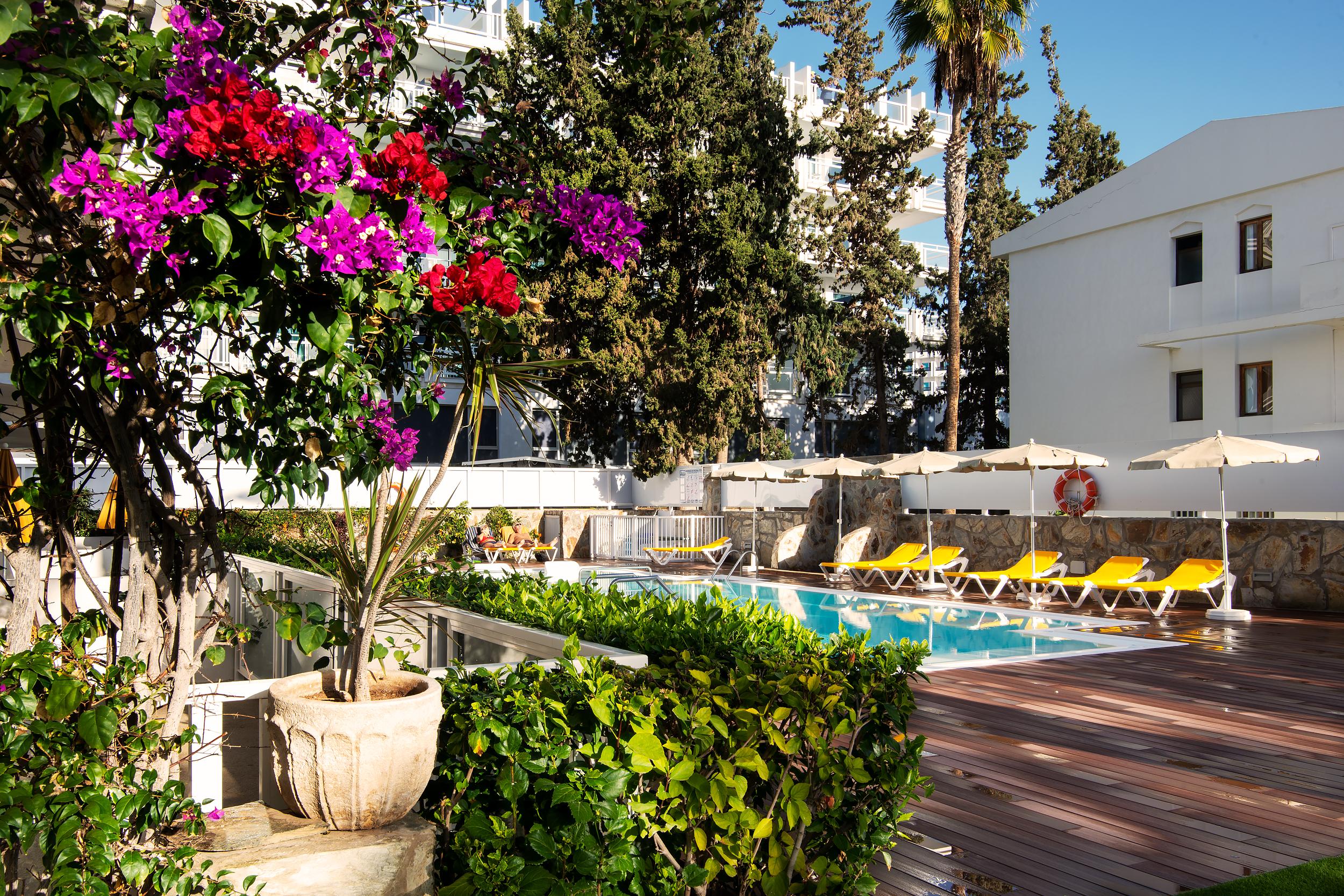 Apartamento Montemayor *