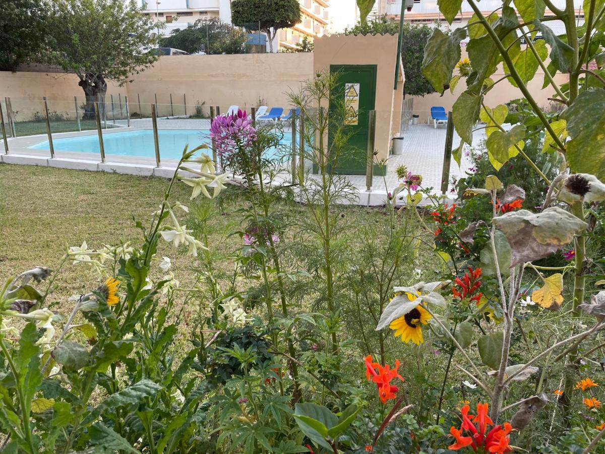 Near Yumbo And Cita Apartment Playa del Ingles (Gran Canaria)