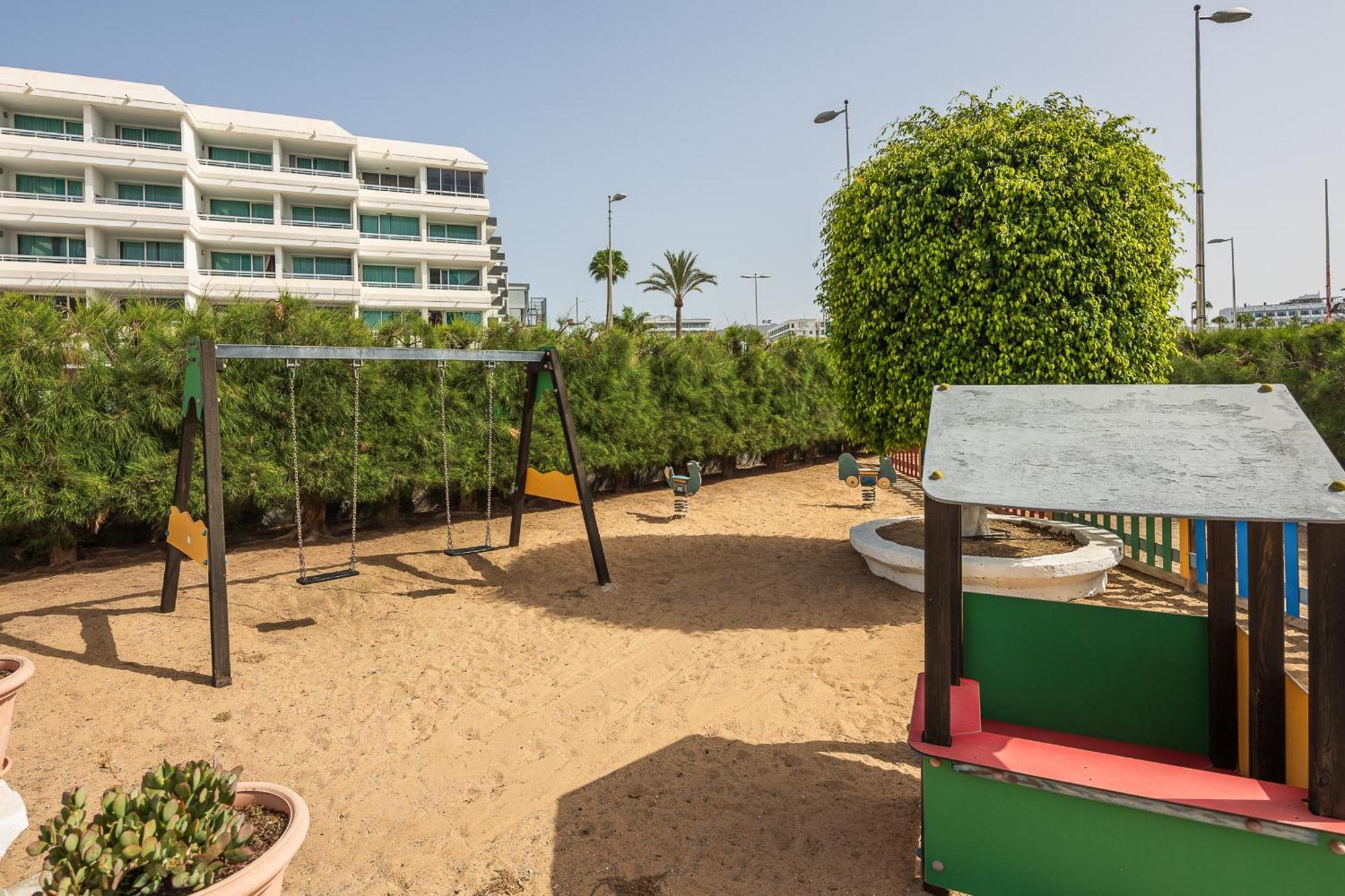 Ficus * Playa del Inglés