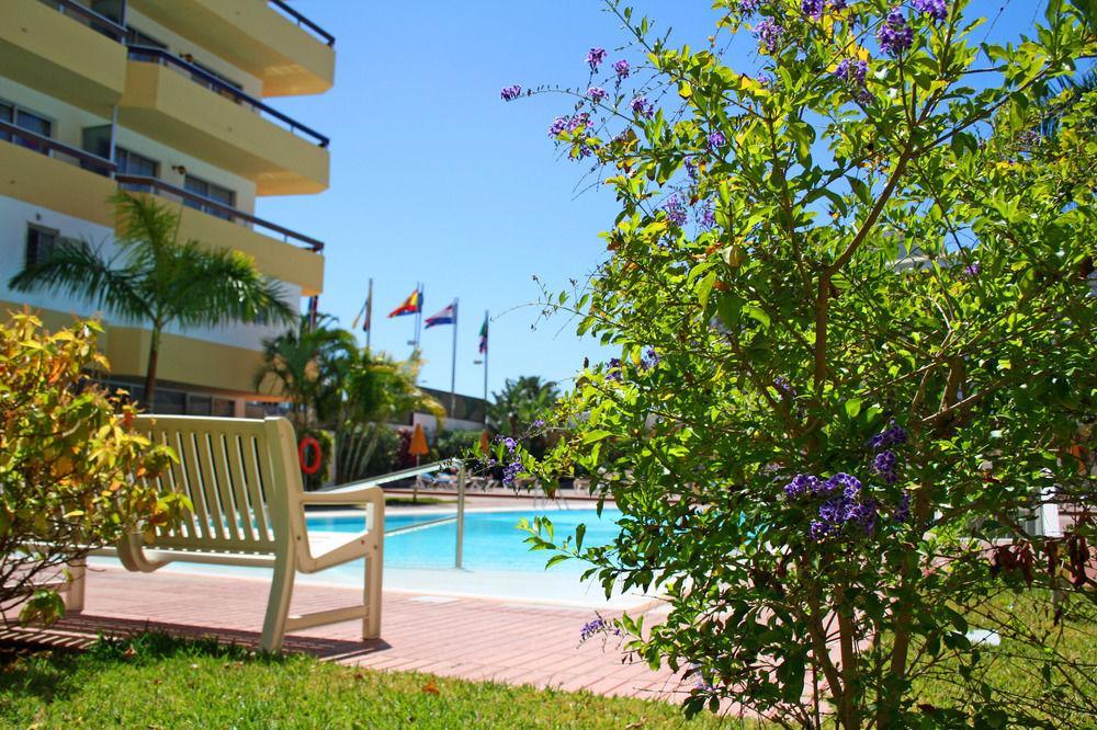 Camelias Apartamento *