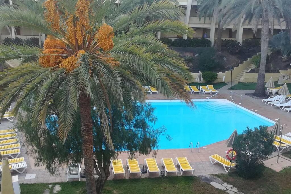 Apartment Maspalomas Sandy Beach Playa del Ingles (Gran Canaria)