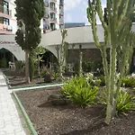 Guinea Flat - Playa Del Ingles