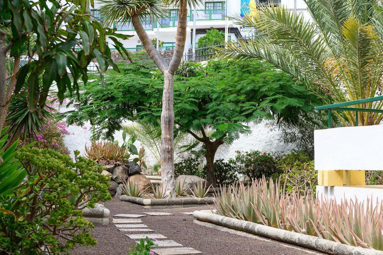 Apartment Caroni Playa del Ingles (Gran Canaria)