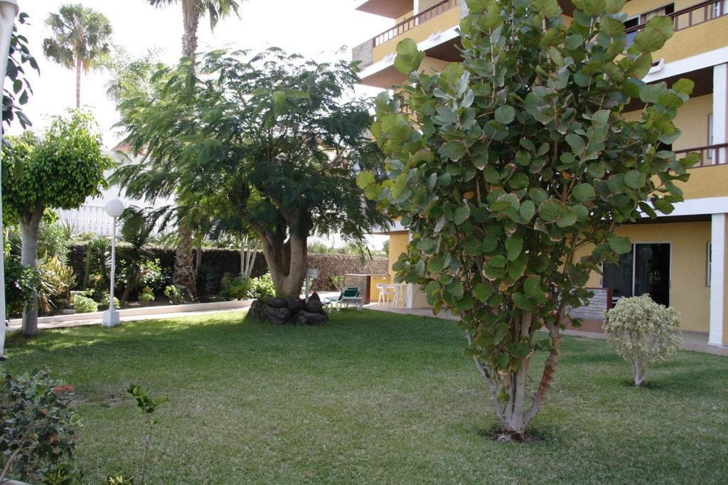 Apartamento Tilos *
