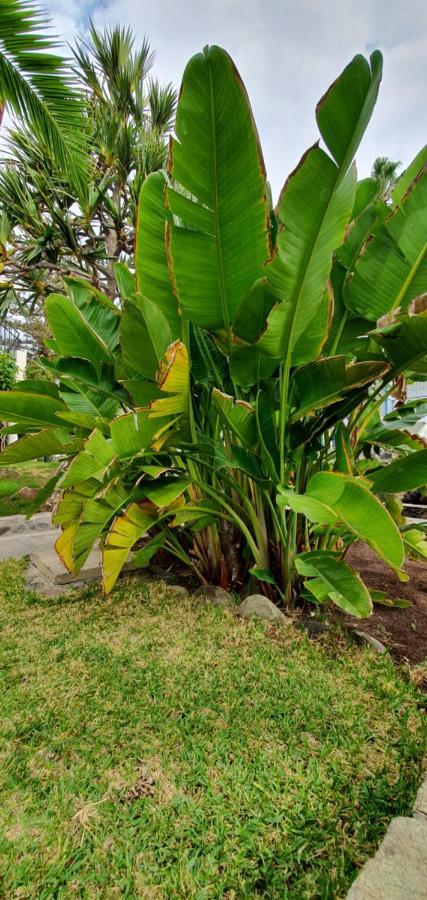 Casas Carmen - Adults Only Apartment Playa del Ingles (Gran Canaria)