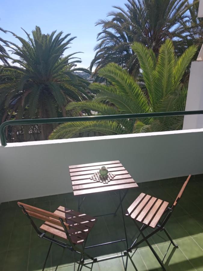 Surycan Tropical Garden * Playa del Ingles (Gran Canaria)