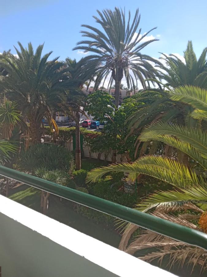 Surycan Tropical Garden * Playa del Ingles (Gran Canaria)