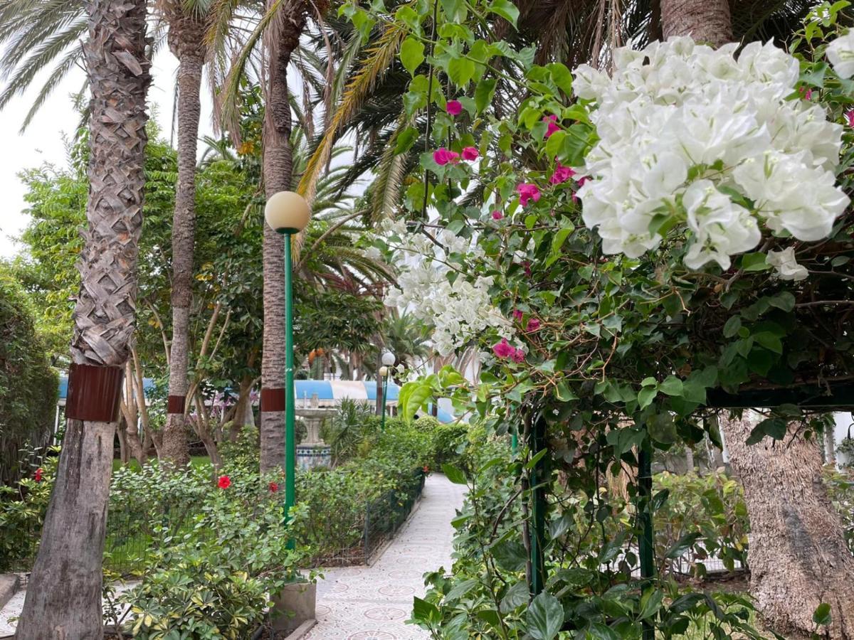 Apartment Surycan Tropical Garden Playa del Ingles (Gran Canaria)