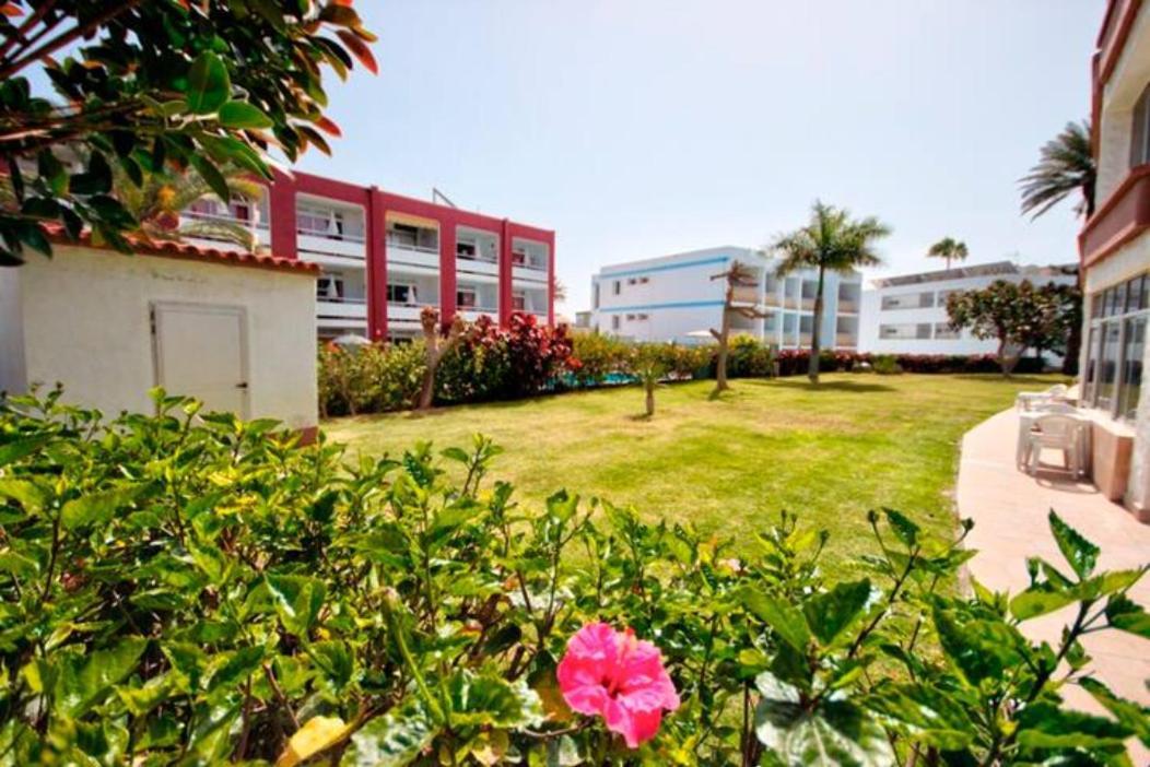 Bonito 103 Apartment *