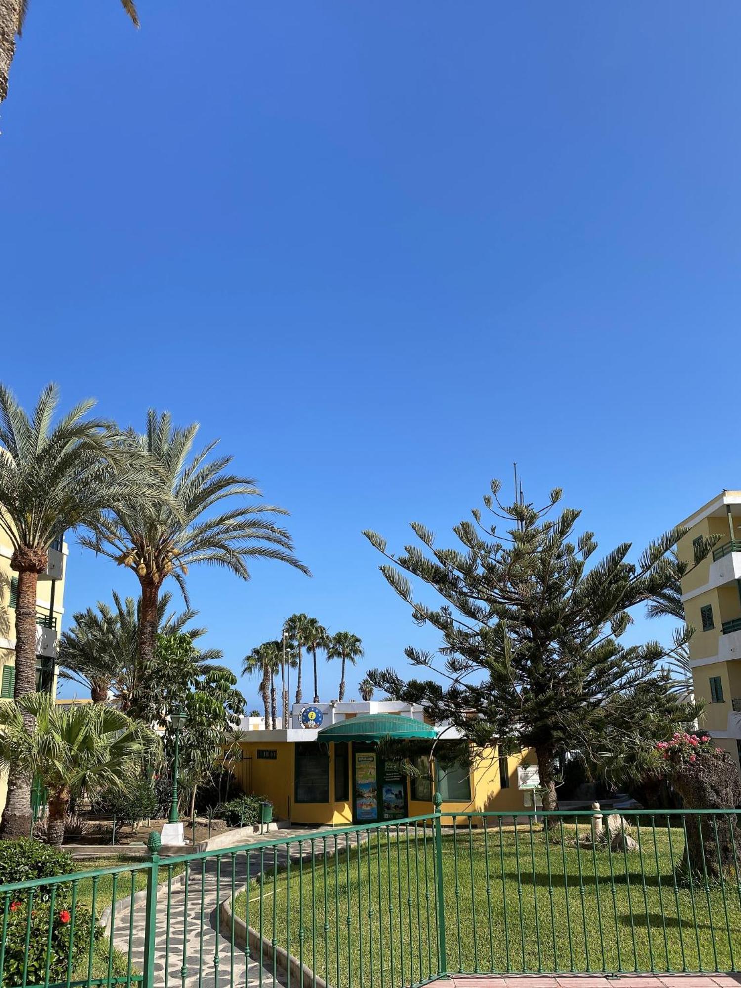Olas Sun Appartement *