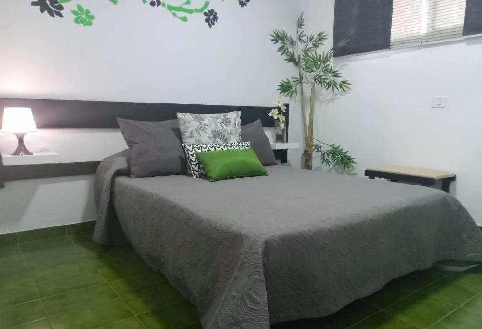Apartment Surycan Tropical Garden Playa del Ingles (Gran Canaria)