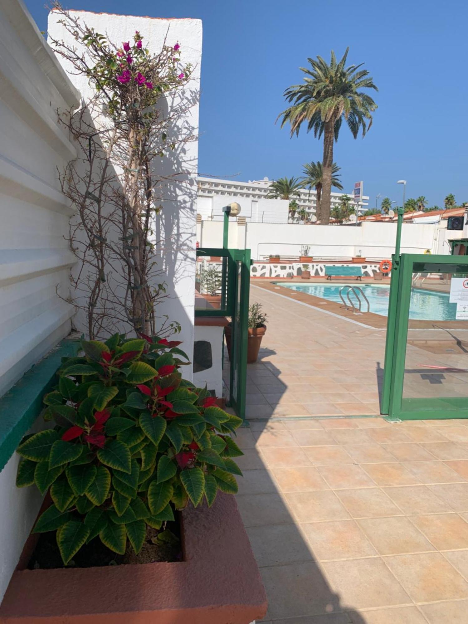 Holiday home Felicidad Playa del Ingles (Gran Canaria)