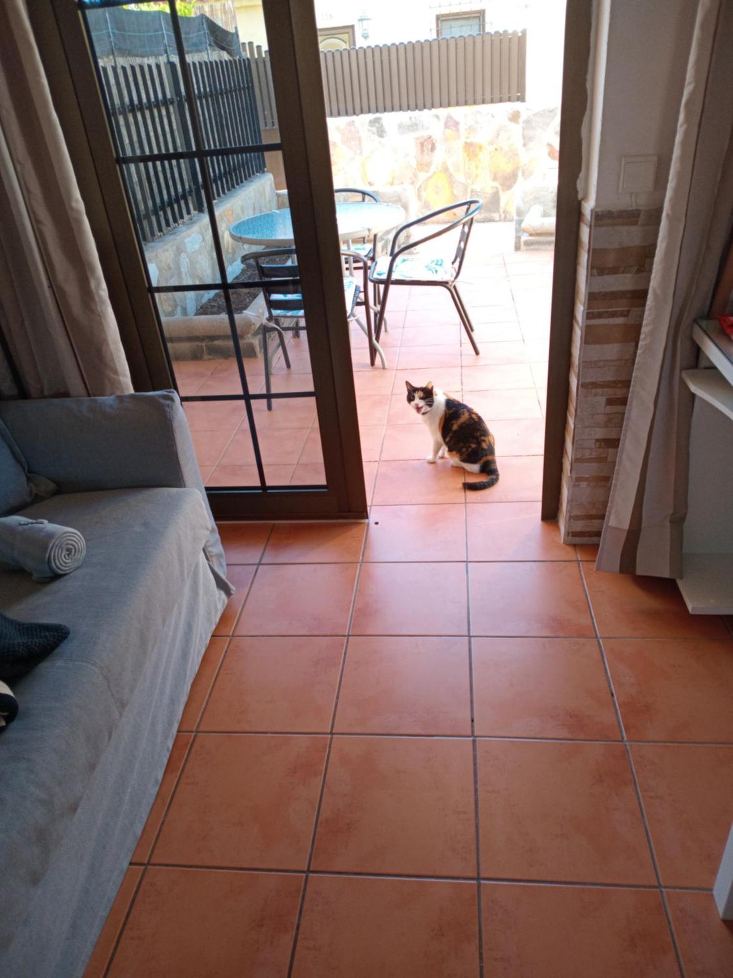 Holiday home Casita De Gatas Pupy *
