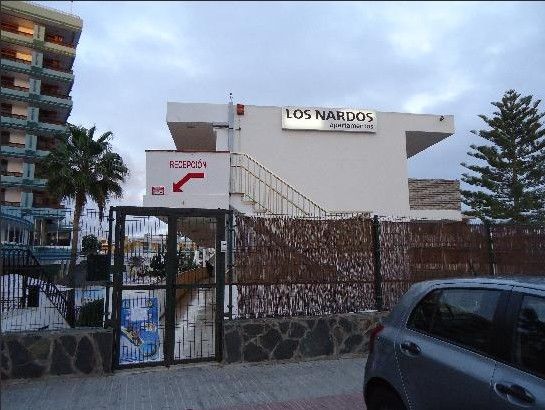 Nardos Hotel 4*