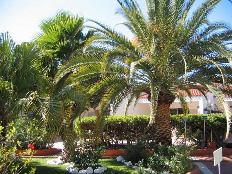Appartement Parque Paraiso I
