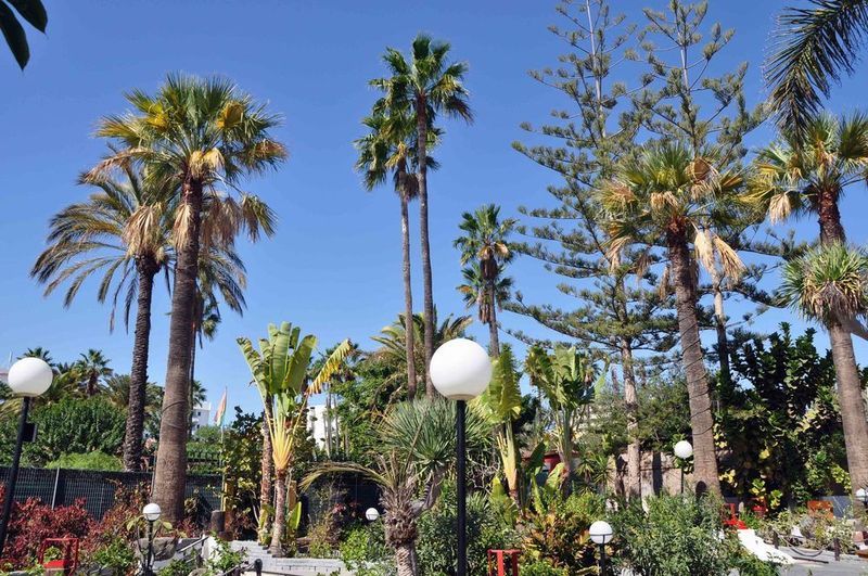 San Valentin & Terraflor Park Playa del Ingles (Gran Canaria)