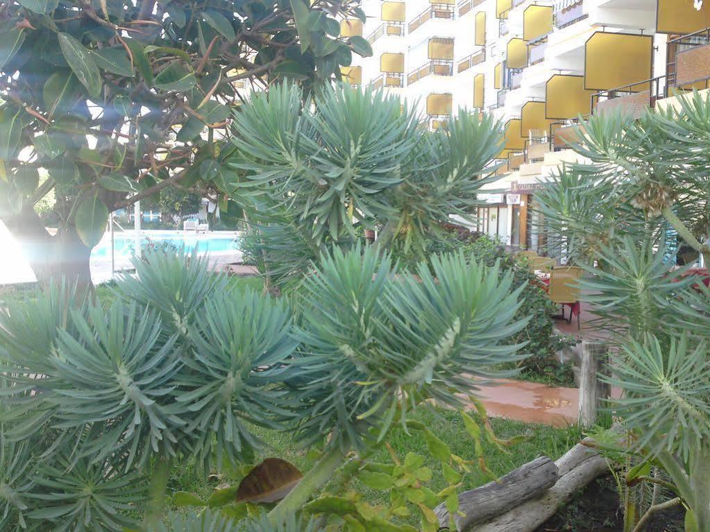 Europa Apartamento *