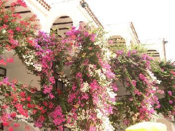 Casablanca * Playa del Ingles (Gran Canaria)